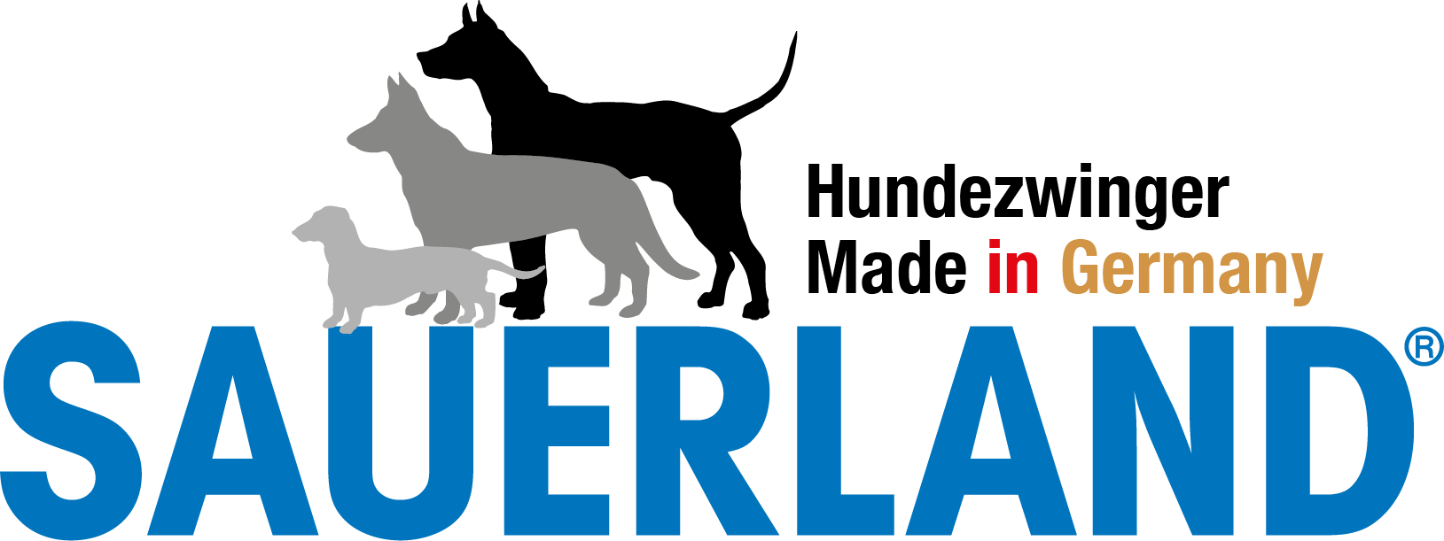 Zur Startseite gehen